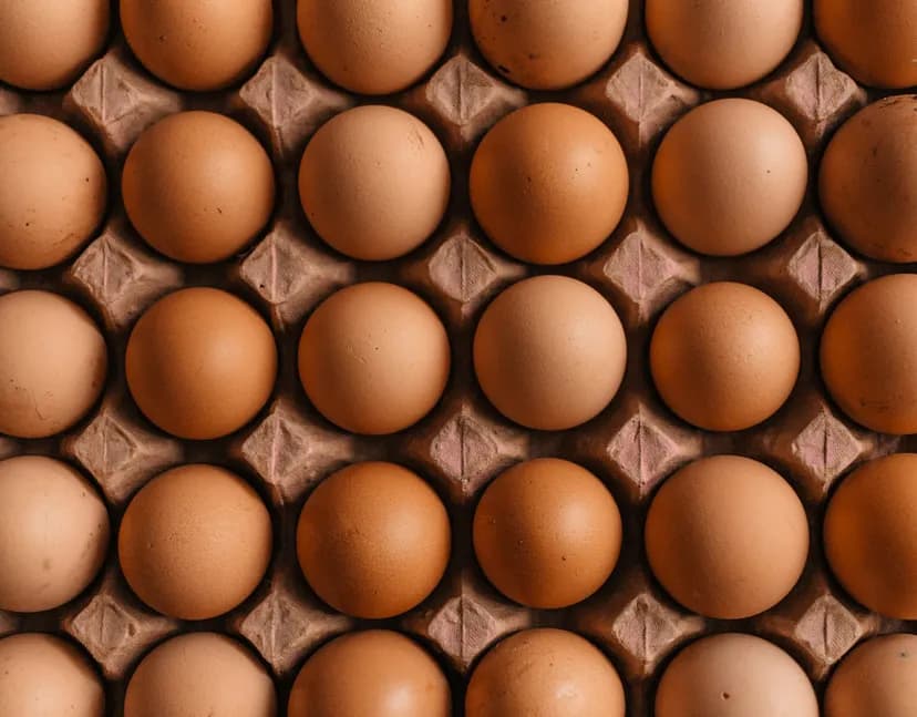 A man ate 720 eggs in 1 month. Here's what happened to his cholesterol